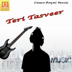 Unknown Teri Tasveer