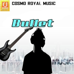 Unknown Bullet