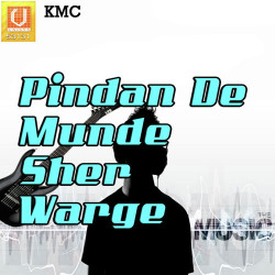 Unknown Pindan De Munde Sher Warge
