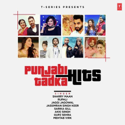 Unknown Punjabi Tadka Hits