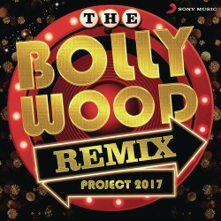 Unknown The Bollywood Remix Project 2017
