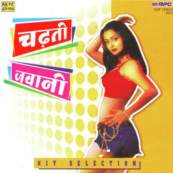 chadti jawani remix song download