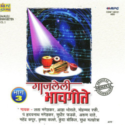 Unknown Gajaleli Bhav Geeten Vol 3 Various