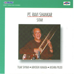 Unknown Ravi Shankar Monument Of Strings Sitar