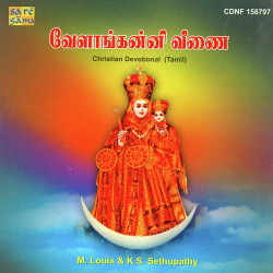 Unknown Vailankanni Veenai