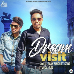 Unknown Dream Visit