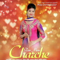 Unknown Tere Mere Charche