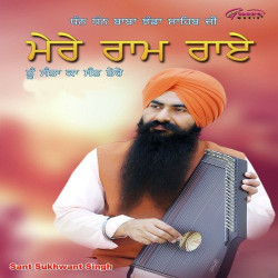 Unknown Mere Ram Rai Tu Santa Ka Sant Tere