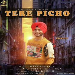 Unknown Tere Picho