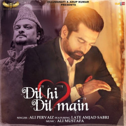 Unknown Dil Hi Dil Main