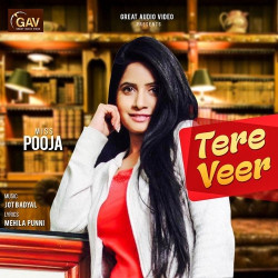 Unknown Tere Veer