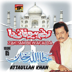Punjabi Unknown