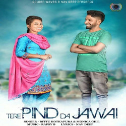 Punjabi Unknown