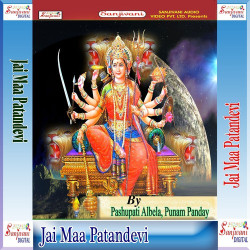 Unknown Jai Maa Patandevi