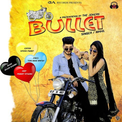 Unknown Bullet