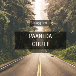 Punjabi Unknown