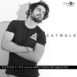 Punjabi Unknown