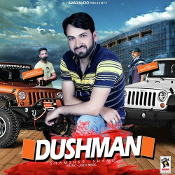 Punjabi Unknown