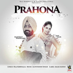 Punjabi Unknown