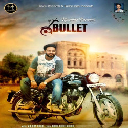 Unknown Bullet
