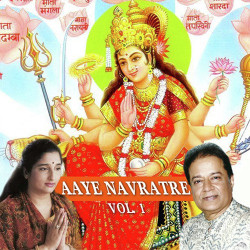 Unknown Aaye Navrate Vol 1