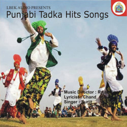 Unknown Punjabi Tadka Hit Songs