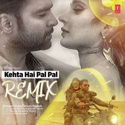 Unknown Kehta Hai Pal Pal - Remix