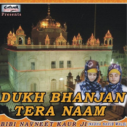Punjabi Unknown