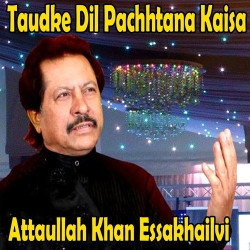 Punjabi Unknown