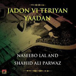 Unknown Jadon Vi Teriyan Yaadan