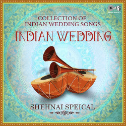 shehnai music download