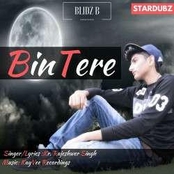 Unknown Bin Tere