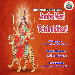 Unknown Ambe Meri Trishuldhari