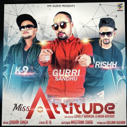 Punjabi Unknown