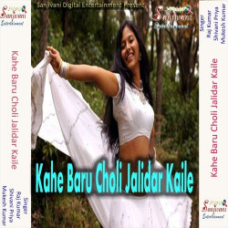 Unknown Kahe Baru Choli Jalidar Kaile