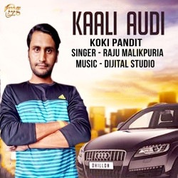 Punjabi Unknown