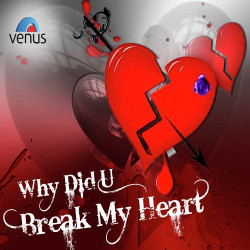 Unknown Why Did You Break My Heart