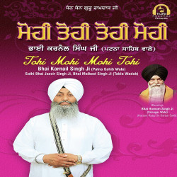 Unknown Tohi Mohi Mohi Tohi