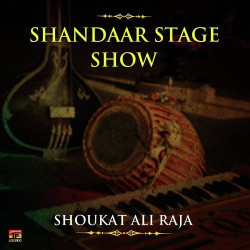 Unknown Shandaar Stage Show