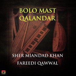 Unknown Bolo Mast Qalandar