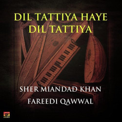 Unknown Dil Tuttiya Haye Dil Tuttiya