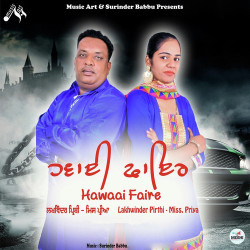 Unknown Hawaai Faire