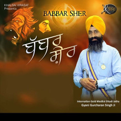 Unknown Babbar Sher