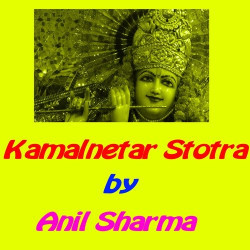 Hindi-Singles Unknown