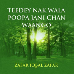 Punjabi Unknown