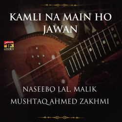 Punjabi Unknown