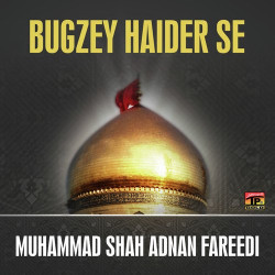 Unknown Bugzey Haider Se