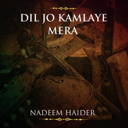Unknown Dil Jo Kamlaye Mera