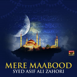 Unknown Mere Maabood