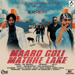 Unknown Maaro Goli Mathhe Lake